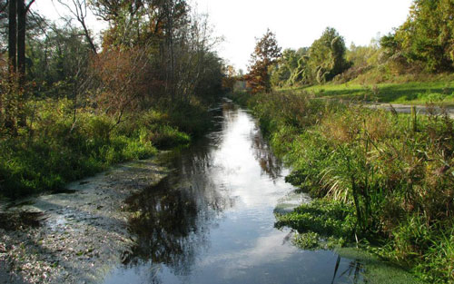 Europareservat Unterer Inn