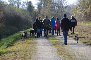 Hundewanderung